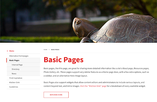 basic page front-end view