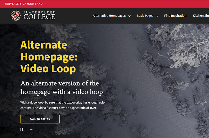 Alternate homepage with slowly zooming in video of a snow-covered ski slope