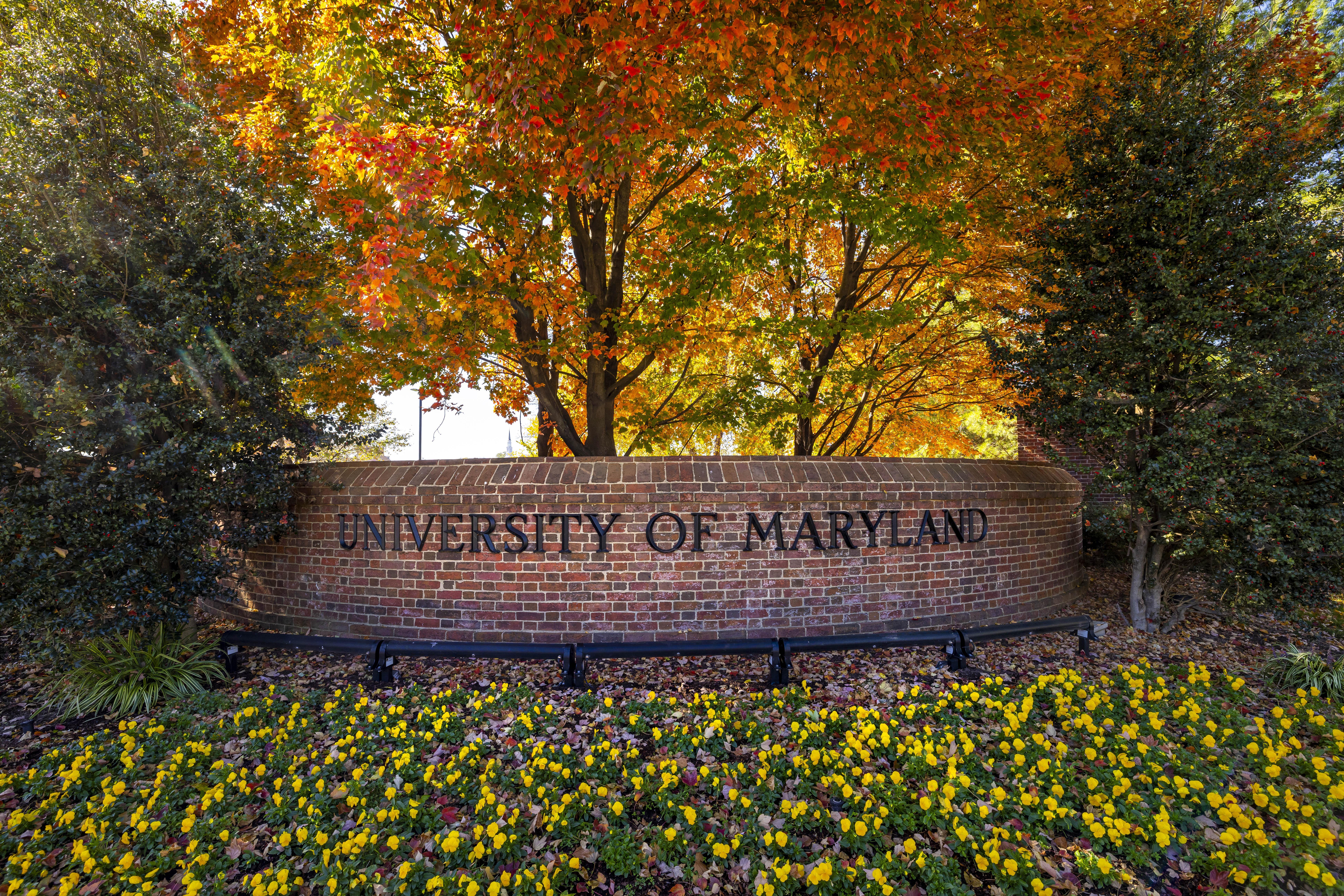 University of Maryland nameplat in brick